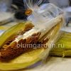 Семена ваточника сирийского © blumgarden.ru