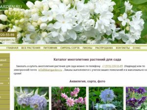 Обновление сайта