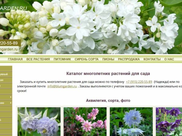 Обновление сайта