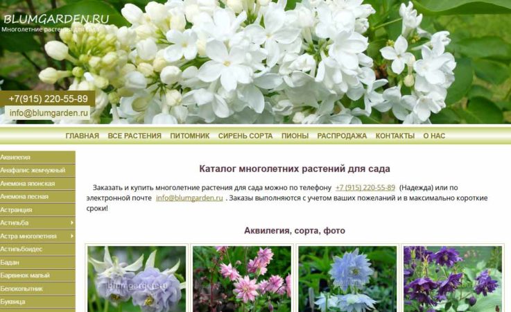 Обновление сайта