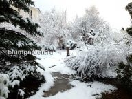 Апрельский снегопад в Подмосковье © Blumgarden.ru