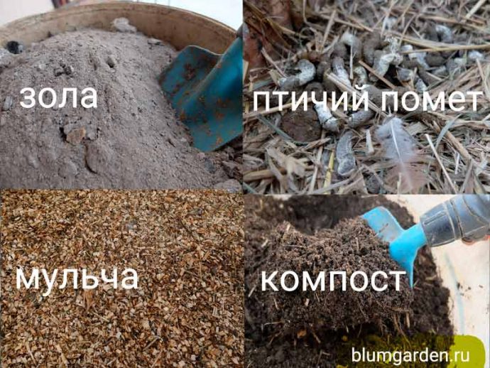 Зола, птичий помет, мульча, компост - питание растений © blumgarden.ru