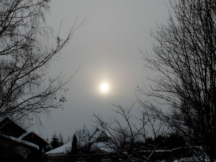 Приметы погоды 9 декабря 2023 года Юрьев День © blumgarden.ru